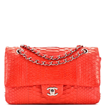 Chanel Classic Double Flap Bag Python Medium