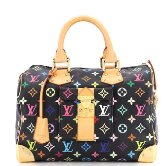 Louis Vuitton Speedy Handbag Monogram Multicolor 30