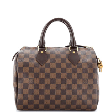 Louis Vuitton Speedy Handbag Damier 25