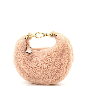 Fendi Fendigraphy Bag Shearling Nano