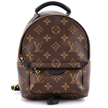 Louis Vuitton Palm Springs Backpack Monogram Canvas Mini