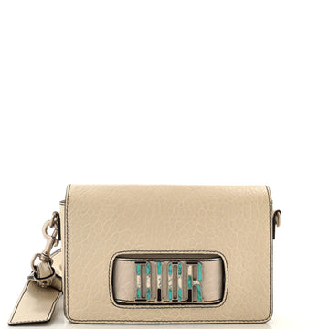 Christian Dior Dio(r)evolution Flap Bag Canyon Grained Lambskin with Mosaic Detail Medium