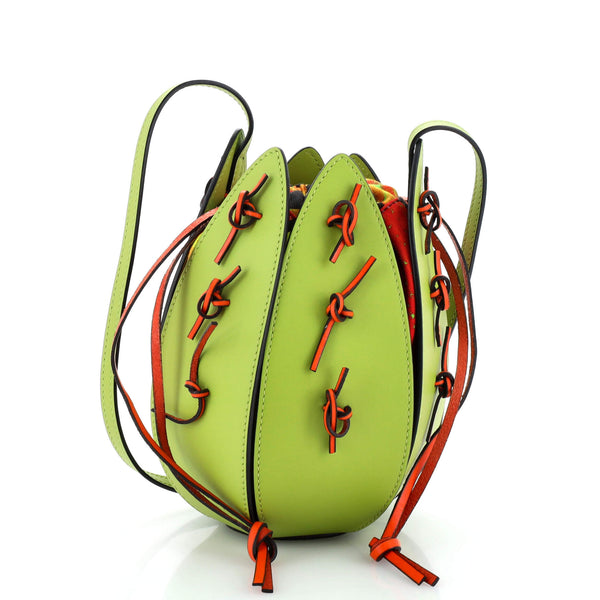 Loewe Paula's Ibiza Cactus Crossbody Printed Canvas with Leather Green  22282789