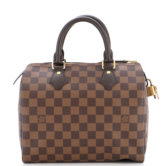 Louis Vuitton Speedy Handbag Damier 25