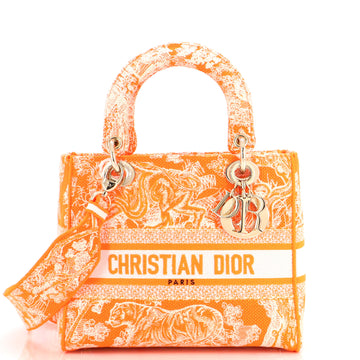 Christian Dior Lady D-Lite Bag Embroidered Canvas Medium