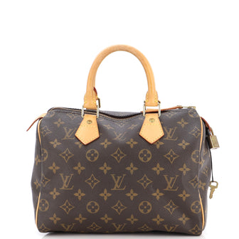 Louis Vuitton Speedy Handbag Monogram Canvas 30