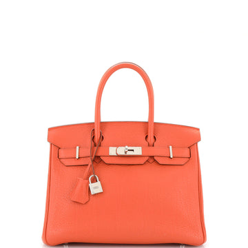 Hermes Birkin Handbag Orange Fjord with Palladium Hardware 30