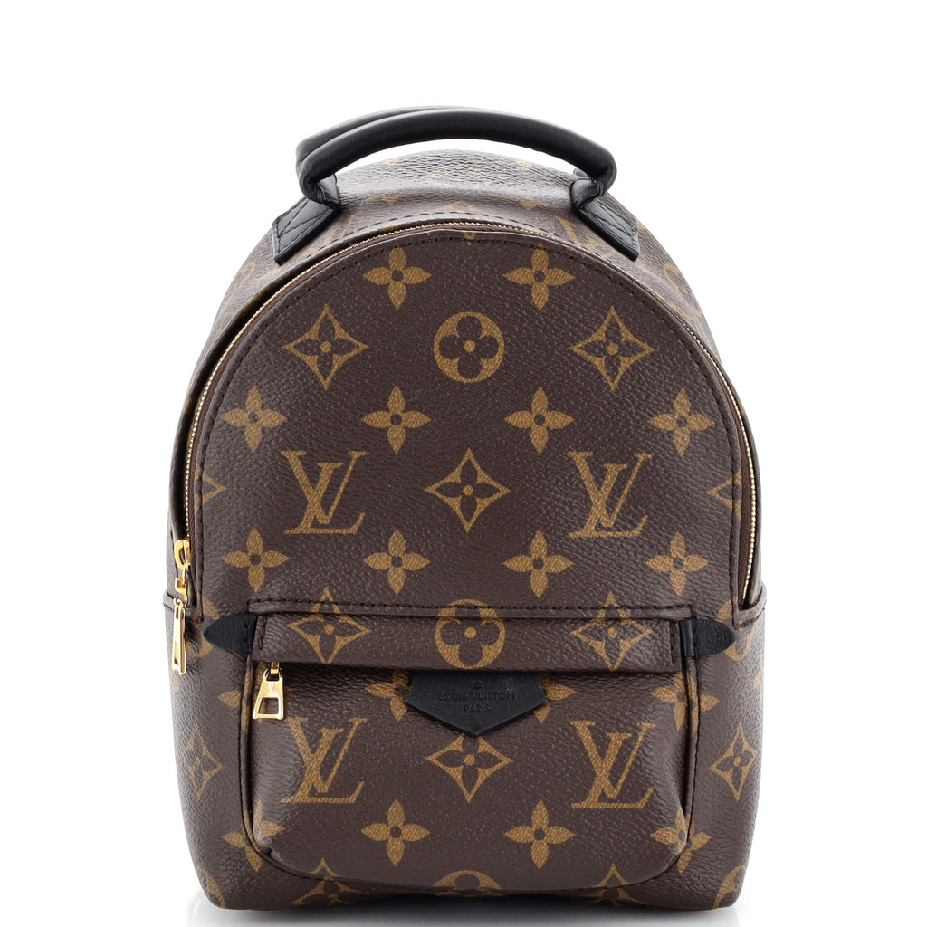 Louis Vuitton Canvas Monogram and Leather Palm Springs Mini