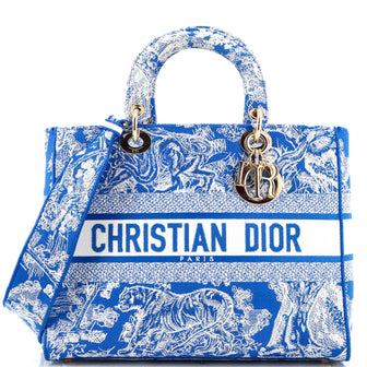 Christian Dior Lady D-Lite Bag Embroidered Canvas Large