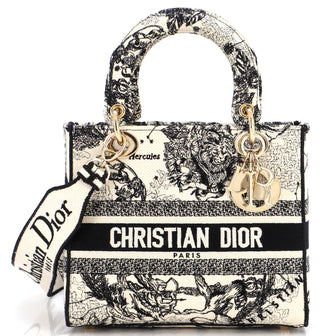 Christian Dior Lady D-Lite Bag Embroidered Canvas Medium