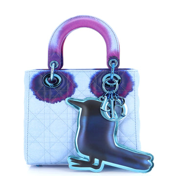 Christian Dior Lady Dior Art Bag Limited Edition Francoise Petrovitch Cannage Quilt Leather Small