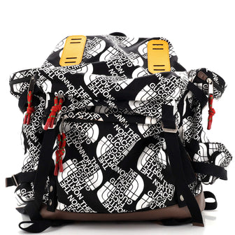 Gucci Gucci x The North Face Flap Backpack Printed Nylon Large