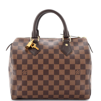 Louis Vuitton Speedy Handbag Damier 25