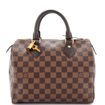 Louis Vuitton Speedy Handbag Damier 25