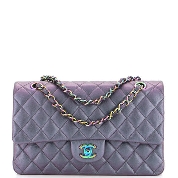 Chanel Classic Double Flap Bag Quilted Iridescent Goatskin Medium