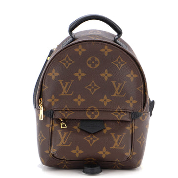 Louis Vuitton Palm Springs Backpack Monogram Canvas Mini