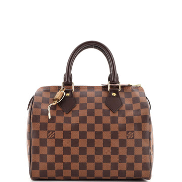 Louis Vuitton Speedy Handbag Damier 25