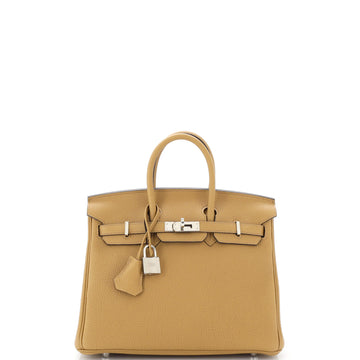 Hermes Birkin Handbag Brown Togo with Palladium Hardware 25