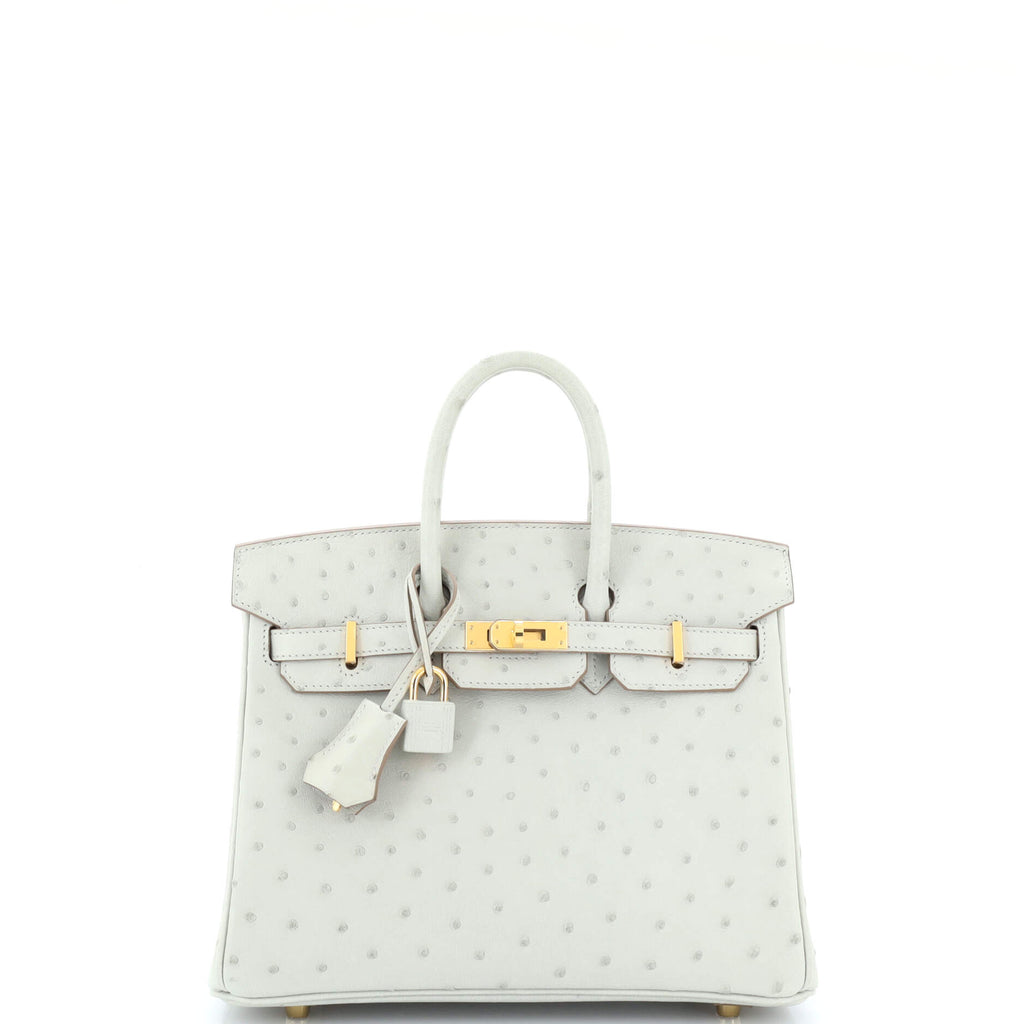 Hermes Birkin Handbag Grey Ostrich with Gold Hardware 25 Gray 2267081