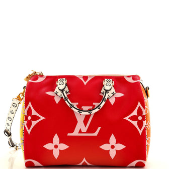 limited edition lv colorful bag