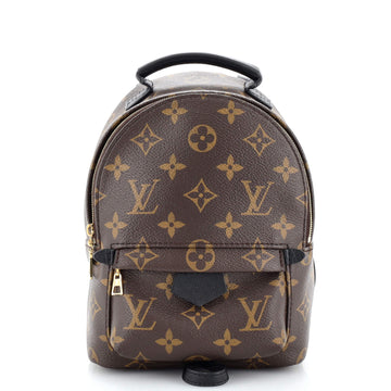 Louis Vuitton Palm Springs Backpack Monogram Canvas Mini