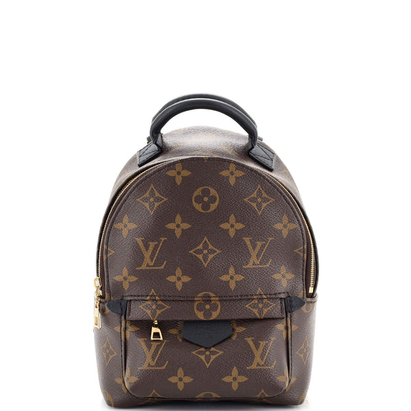 Louis Vuitton, Bags, Louis Vuitton Palm Springs Monogram Backpack  Crossbody Bag Ca58