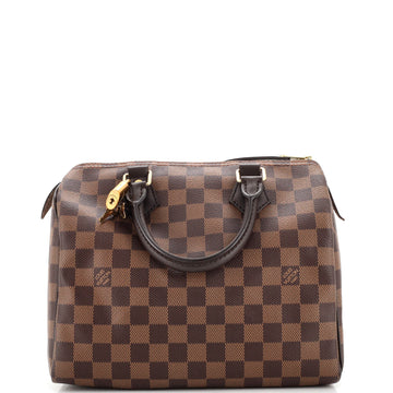Louis Vuitton Speedy Handbag Damier 25