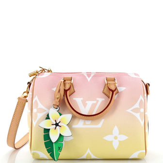 Louis Vuitton Speedy Bandouliere Bag By The Pool Monogram Giant 25