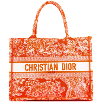 Christian Dior Book Tote Embroidered Canvas Medium