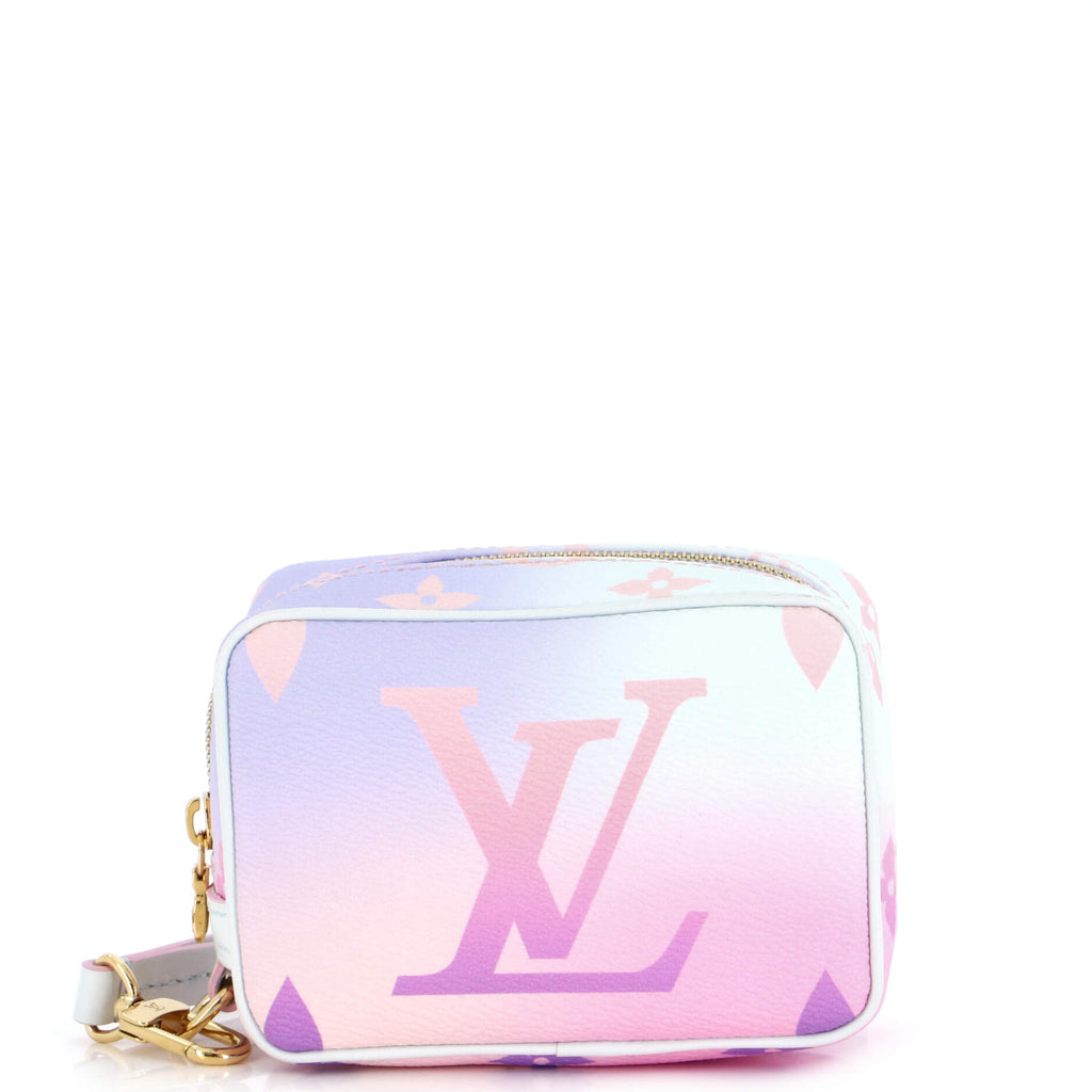 LOUIS VUITTON Monogram Giant Spring In The City Wapity Case