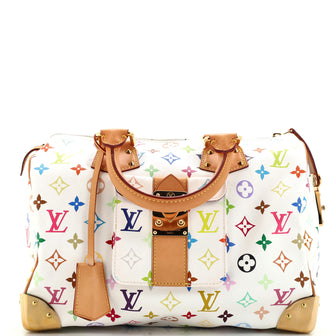 Louis Vuitton Speedy Handbag Monogram Multicolor 30
