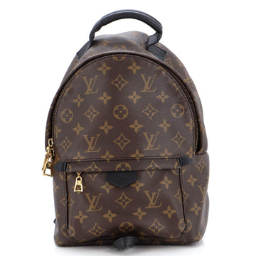 Louis Vuitton Palm Springs Backpack Monogram Canvas PM