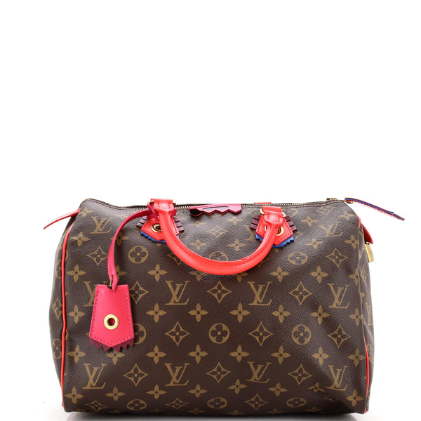 Louis Vuitton Speedy Handbag Limited Edition Totem Monogram Canvas 30 Brown
