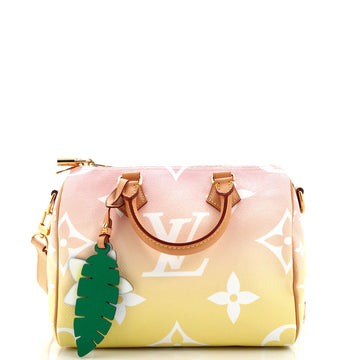Louis Vuitton Speedy Bandouliere Bag By The Pool Monogram Giant 25