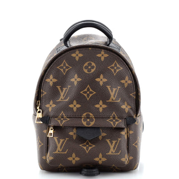 Louis Vuitton Palm Springs Backpack Monogram Canvas Mini