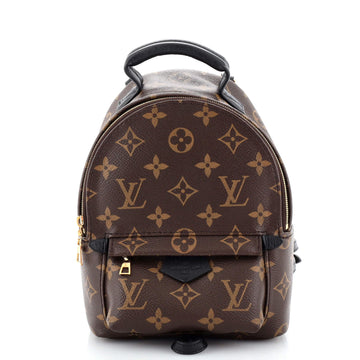 Louis Vuitton Palm Springs Backpack Monogram Canvas Mini