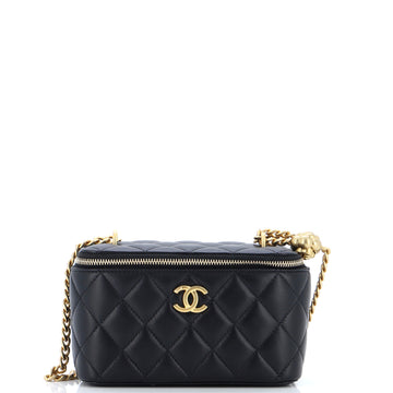 Chanel Sweet Camellia Adjustable Chain Vanity Case with Chain Quilted Lambskin Small