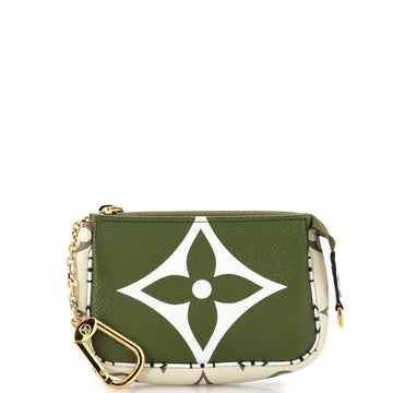Louis Vuitton Pochette Accessoires Limited Edition Colored Monogram Giant Micro