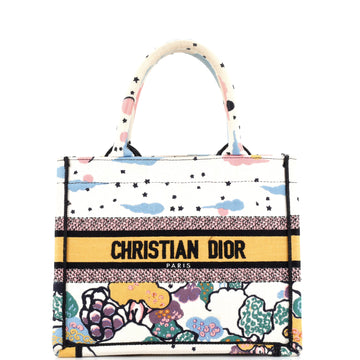 Christian Dior Book Tote Embroidered Canvas Small