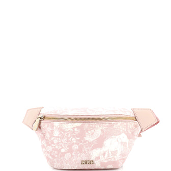 Christian Dior Belt Bag Printed Canvas Small