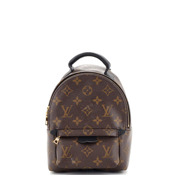 Louis Vuitton Palm Springs Backpack Monogram Canvas Mini