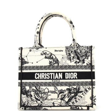 Christian Dior Book Tote Embroidered Canvas Small