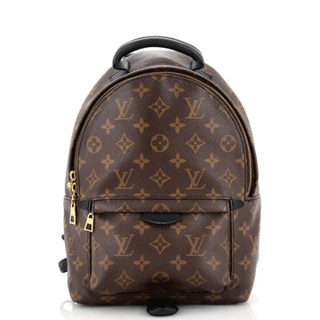 Louis Vuitton Palm Springs Backpack Monogram Canvas PM