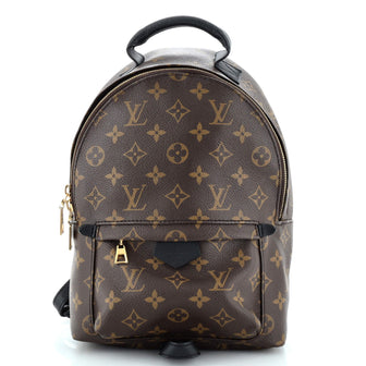 Louis Vuitton Palm Springs Backpack Monogram Canvas PM