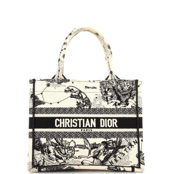 Christian Dior Book Tote Embroidered Canvas Small