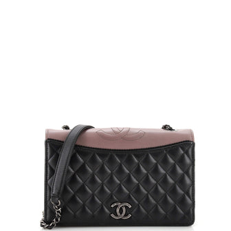 Chanel Ballerine Flap Bag Quilted Lambskin Small