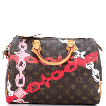 Louis Vuitton Speedy Handbag Limited Edition Bay Monogram Canvas 30