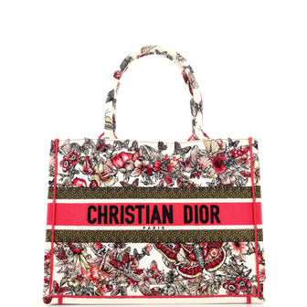 Christian Dior Book Tote Embroidered Canvas Medium