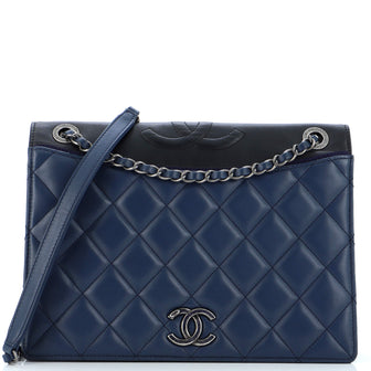 Chanel Ballerine Flap Bag Quilted Lambskin Medium