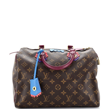 Louis Vuitton Speedy Handbag Limited Edition Totem Monogram Canvas 30